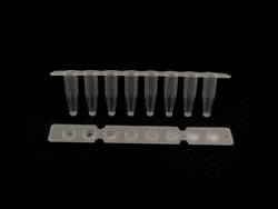 0.2mL 8-Strip Tubes