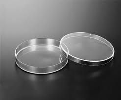 Petri Dishes